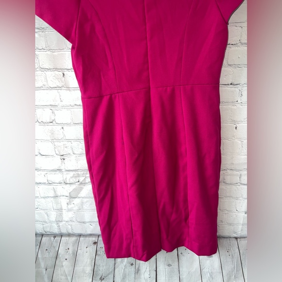 The Limited Dark Pink Sleeveless dress size 10 - Picture 13 of 14
